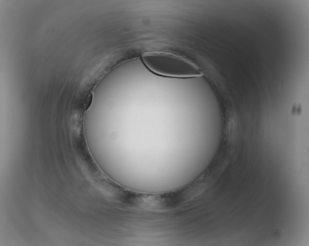 X0000110670121200906121111