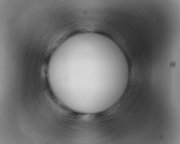 X0000110670122200906121111