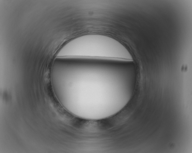 X0000110670123200906121111