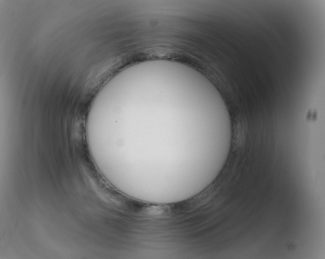 X0000110670126200906121111