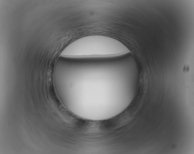 X0000110670127200906121111