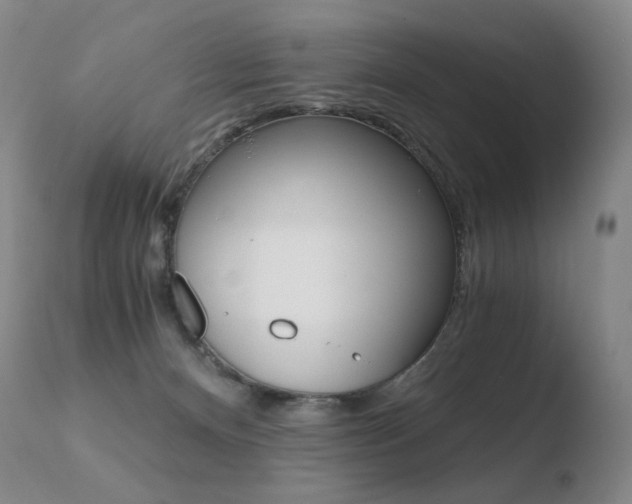 X0000110670128200906121111