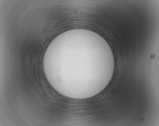 X0000110670129200906121111