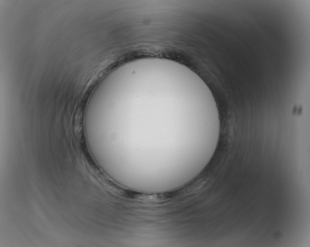 X0000110670131200906121111