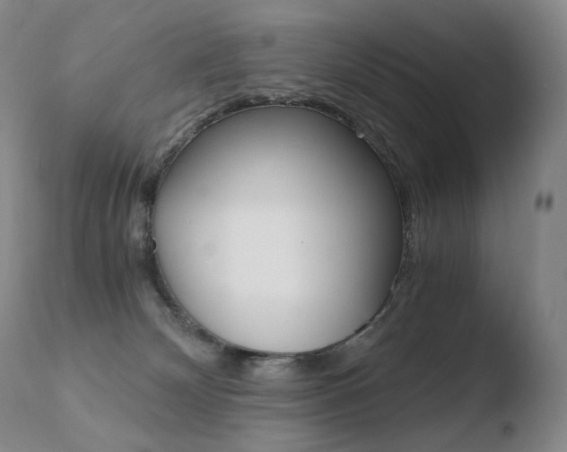 X0000110670132200906121111
