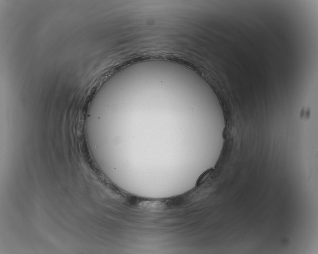 X0000110670133200906121111