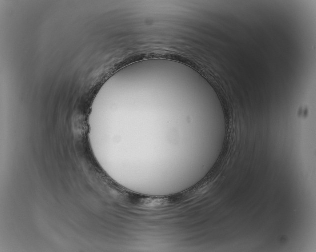 X0000110670135200906121111
