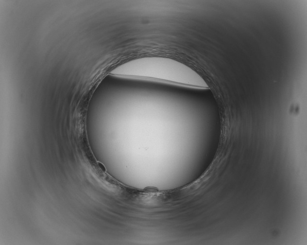 X0000110670136200906121111
