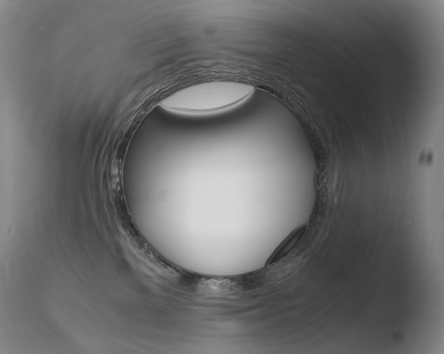 X0000110670137200906121111
