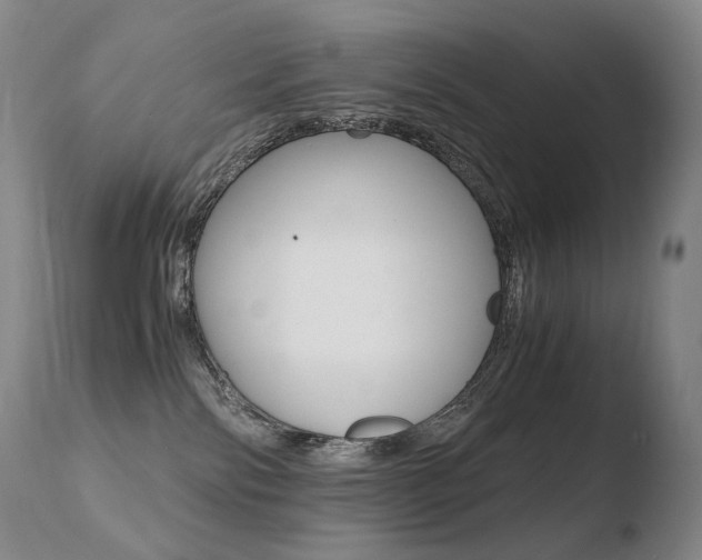 X0000110670138200906121111