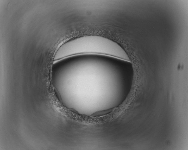 X0000110670144200906121111