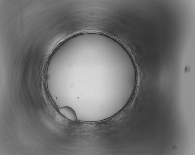 X0000110670145200906121110