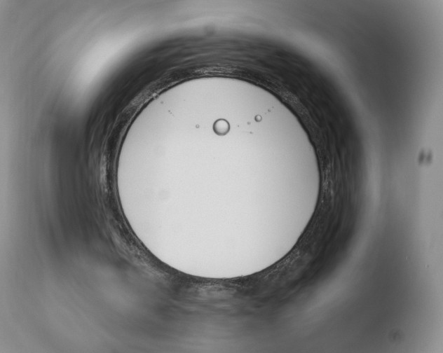 X0000110670146200906121110