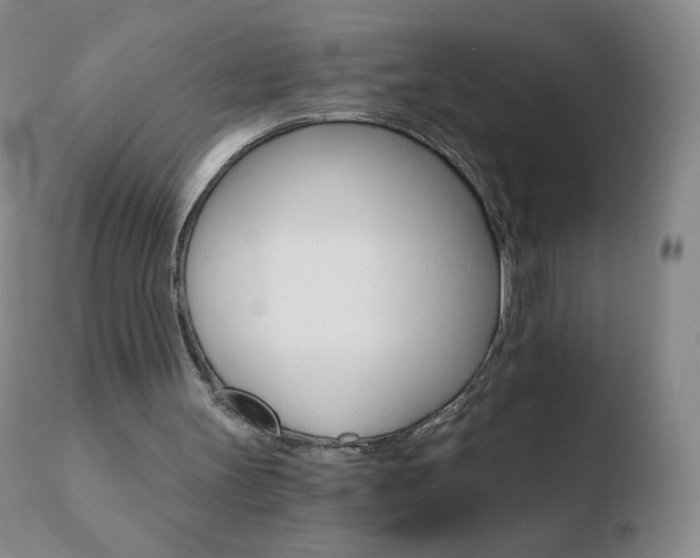 X0000110670147200906121110