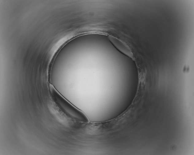 X0000110670148200906121110
