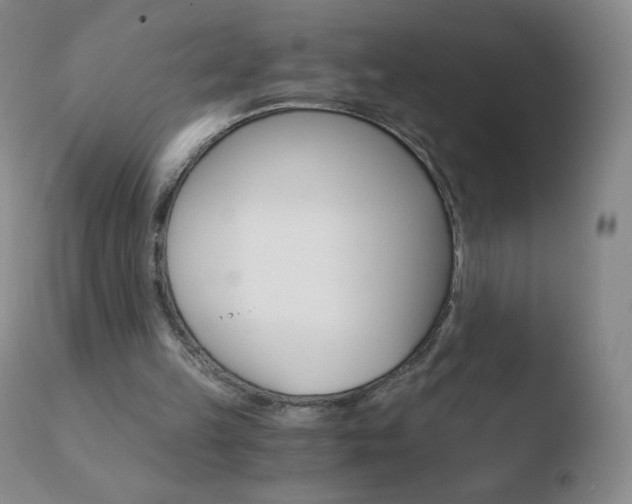 X0000110670149200906121110