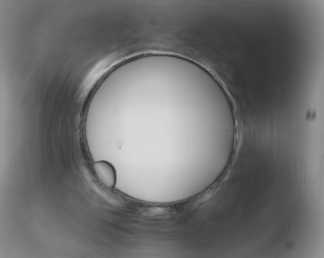 X0000110670151200906121110