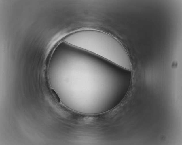 X0000110670152200906121110