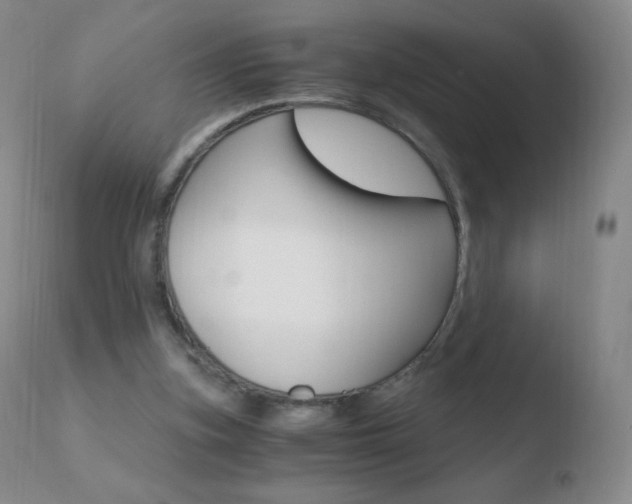 X0000110670155200906121110