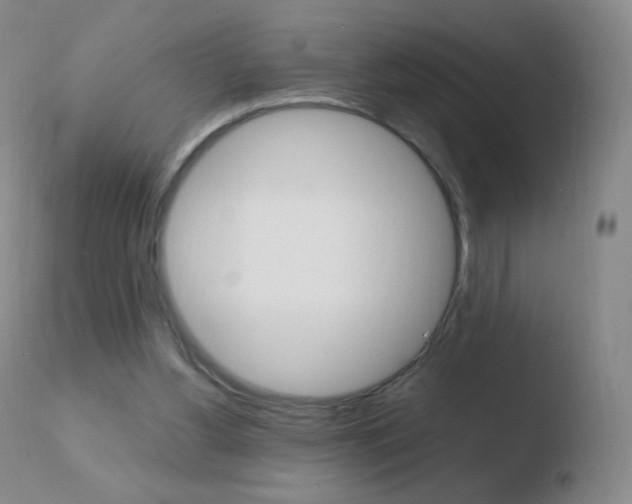 X0000110670156200906121110