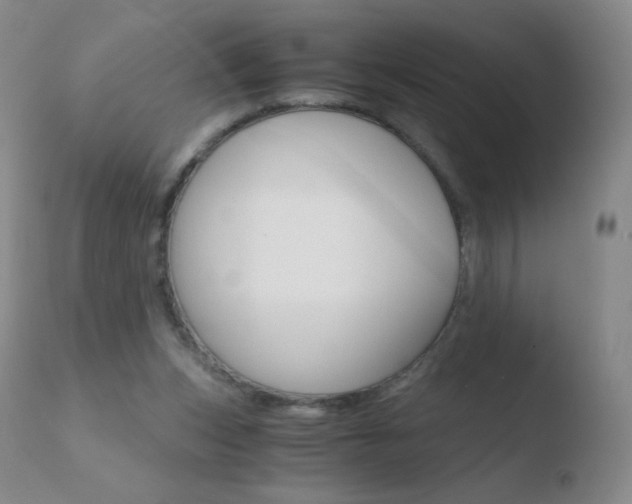 X0000110670159200906121110