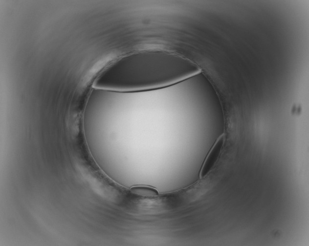 X0000110670160200906121110