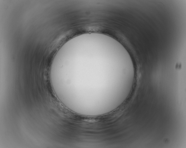 X0000110670161200906121111