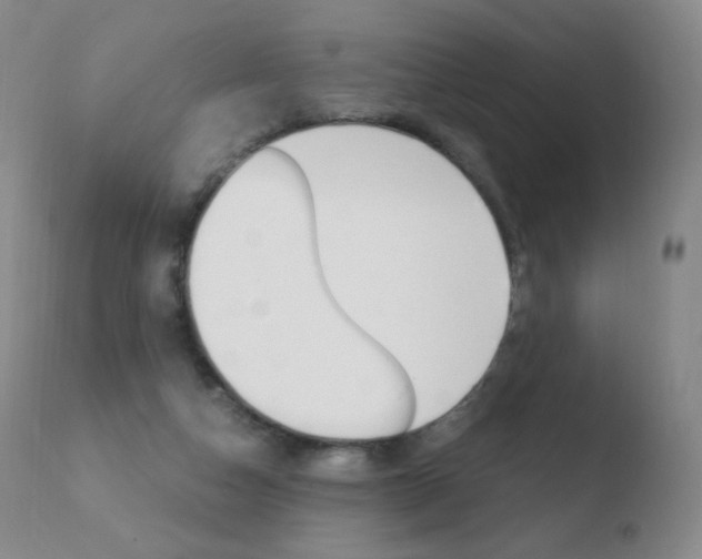 X0000110670162200906121111