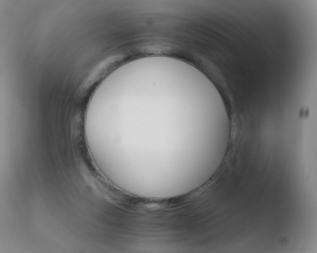 X0000110670163200906121111