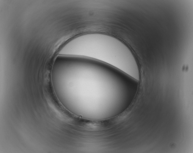 X0000110670164200906121111