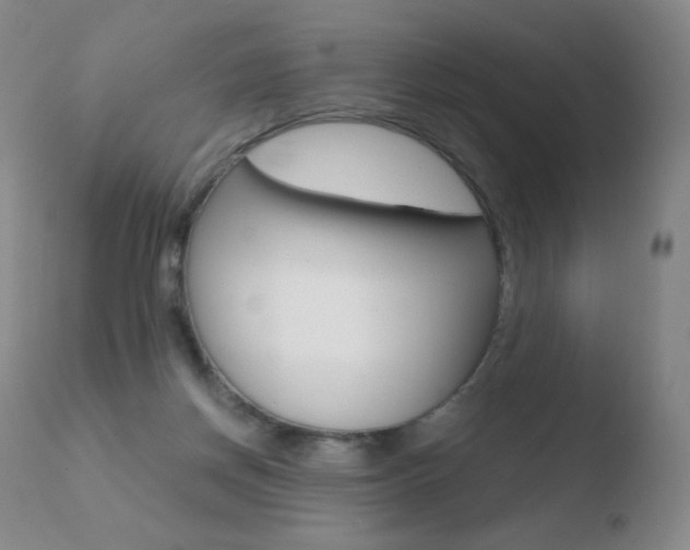 X0000110670166200906121111