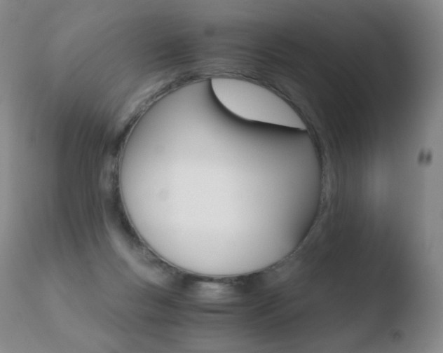 X0000110670167200906121111