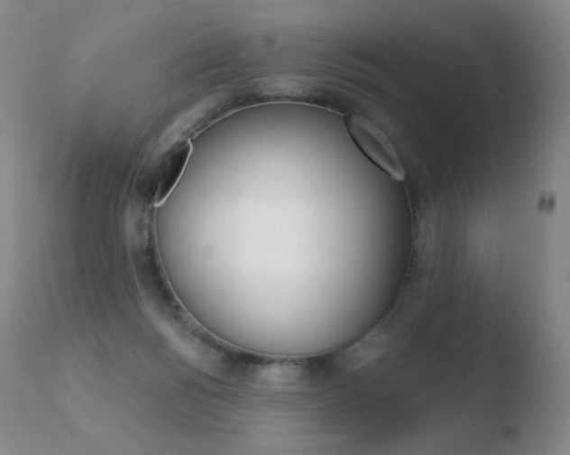 X0000110670168200906121111