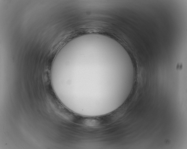 X0000110670169200906121111