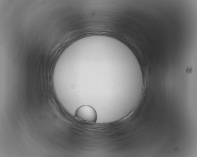 X0000110670170200906121111