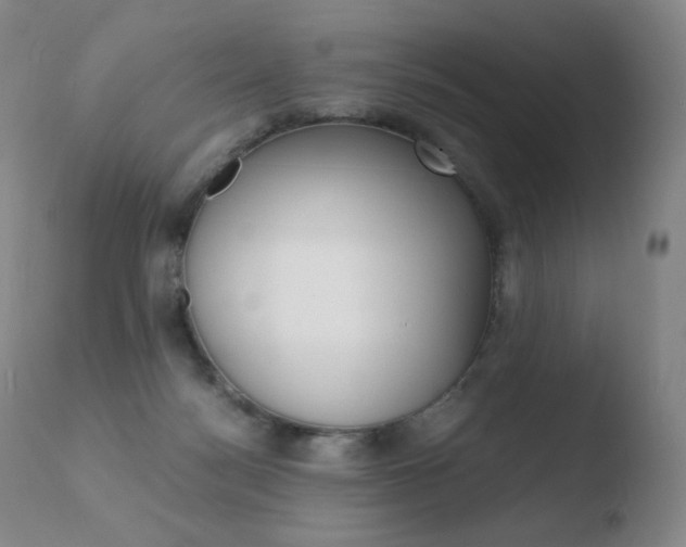 X0000110670172200906121111