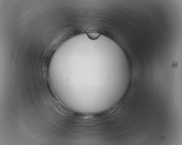 X0000110670173200906121111
