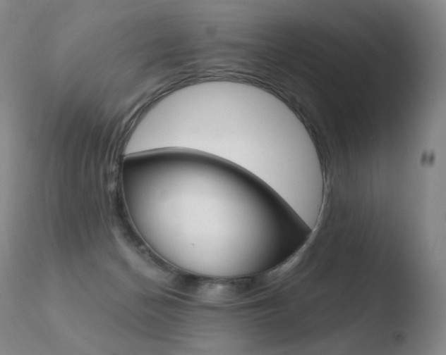 X0000110670174200906121111
