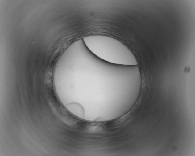 X0000110670175200906121111