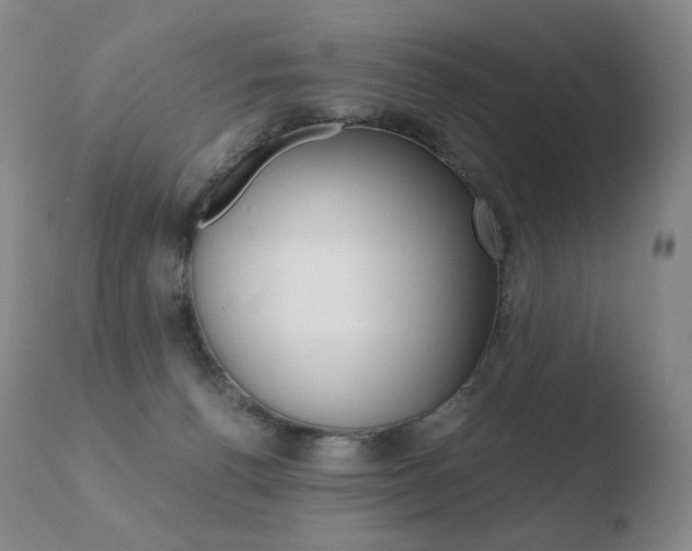 X0000110670176200906121111