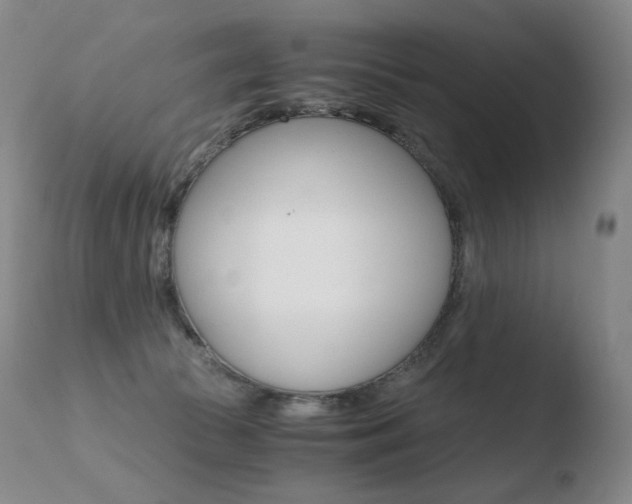 X0000110670177200906121111