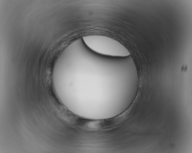 X0000110670178200906121111