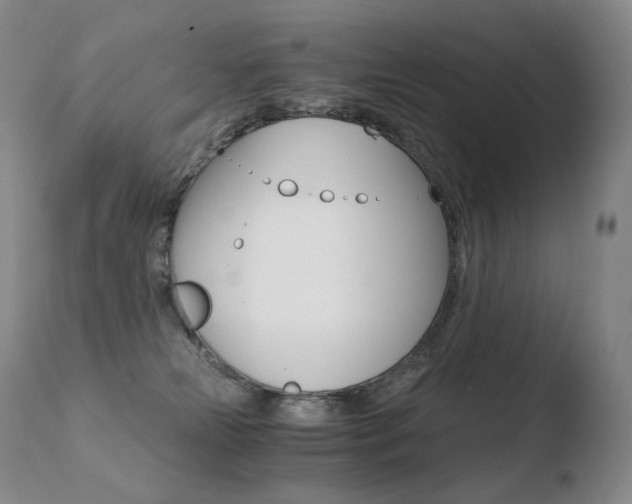 X0000110670181200906121111