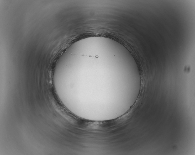 X0000110670182200906121111