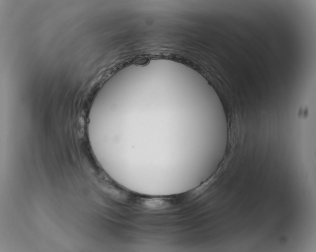 X0000110670183200906121111