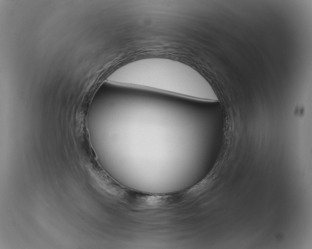 X0000110670184200906121111