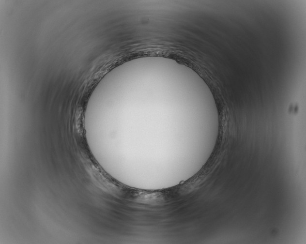 X0000110670185200906121111