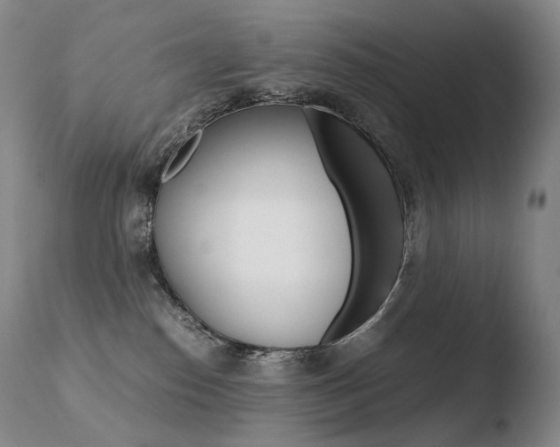 X0000110670186200906121111