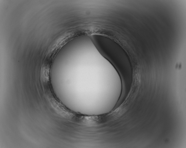 X0000110670188200906121111
