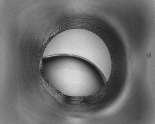 X0000110670190200906121111